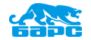 Барс